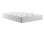 Relyon Backcare Ortho 800 2