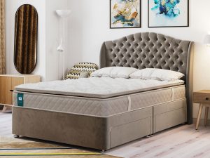 Sealy Alston l