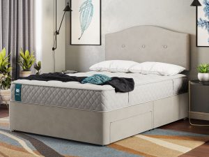 Sealy Chester l