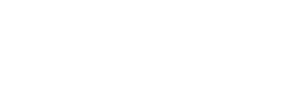 birlea logo