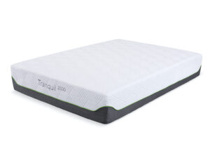 Sleep To Go Tranquil 2500