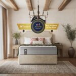 Sealy Edison Elevate Luxury Plush Mattress 3