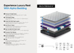 Alpha Beds Delta Premium 5