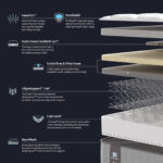 Sealy Elevate EMIN Flex Mattress 5