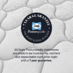Sealy Elevate EMIN Flex Mattress 7